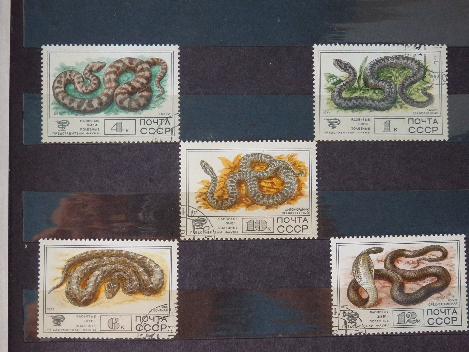 A collection of stamps with snakes | Hobby Keeper Articles