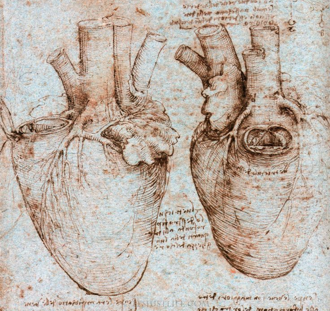 Рисунок Сердце | Hobby Keeper Articles