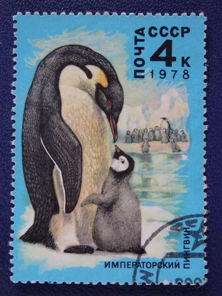 Mark of the USSR 1978 "Emperor penguins" | Hobby Keeper Articles