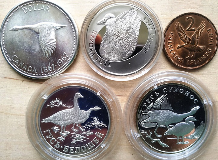 Гуси на монетах разных стран | Hobby Keeper Articles