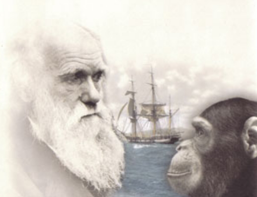 Photo Darwin | Hobby Keeper Articles