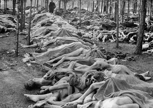 Bodies of prisoners of the Bergen-Belsen concentration camp in the forest before the funeral | Hobby Keeper Articles